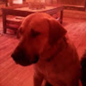 Meet your Posher, Gloria